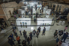 Birds-of-the-Brush-25-10