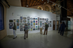 Birds-of-the-Brush-25-2