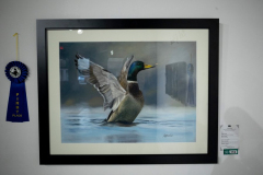 Birds-of-the-Brush-25-4